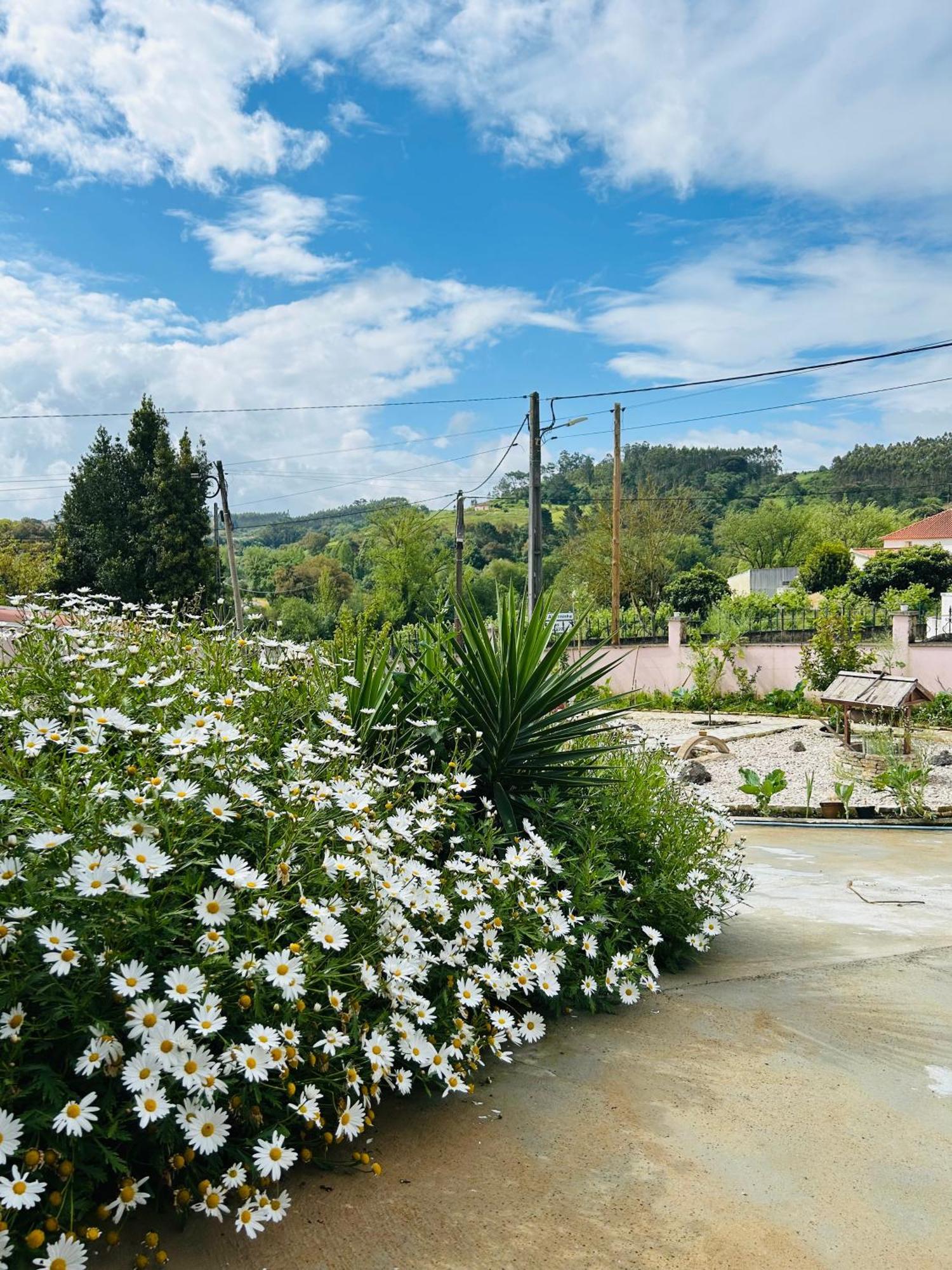Mae Home Story Caldas Da Rainha Exteriér fotografie